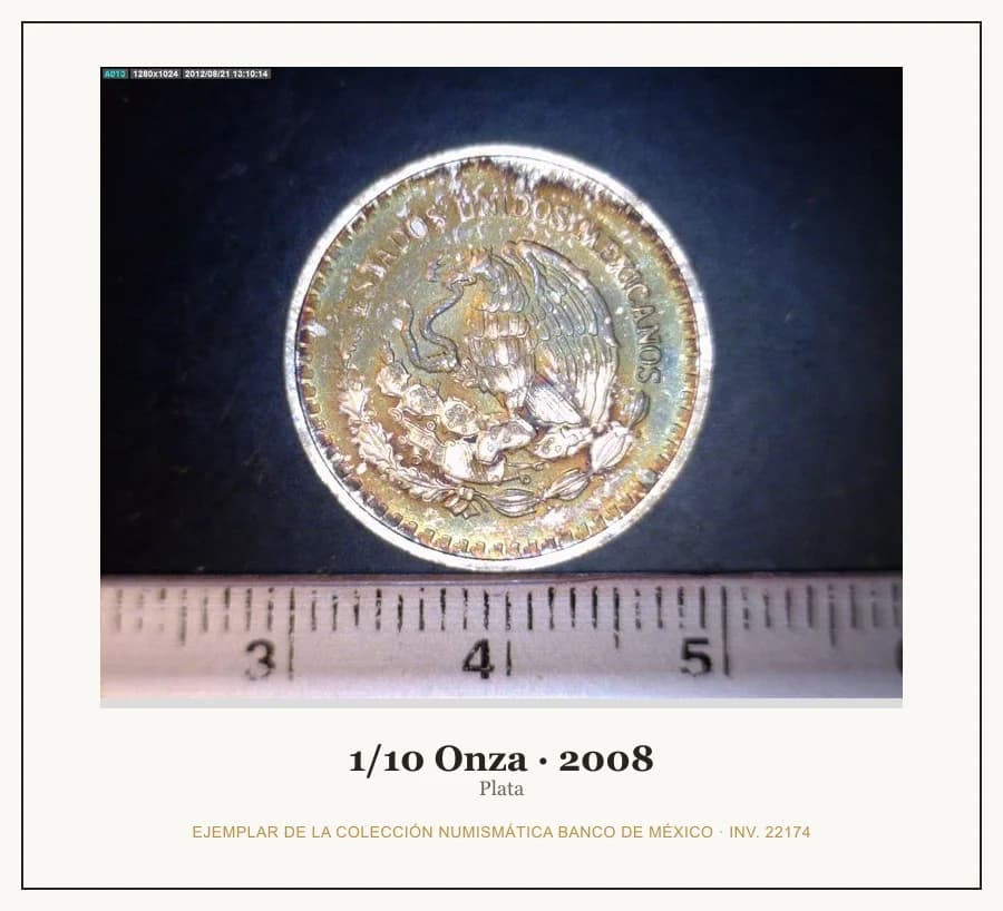 1/10 Onza · 2008 — Ejemplar de la Colección Numismática Banco de México, inv. 22174