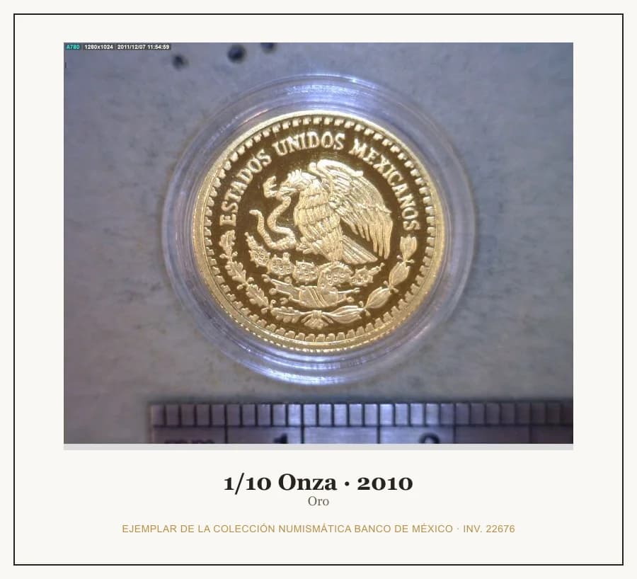 1/10 Onza · 2010 — Ejemplar de la Colección Numismática Banco de México, inv. 22676