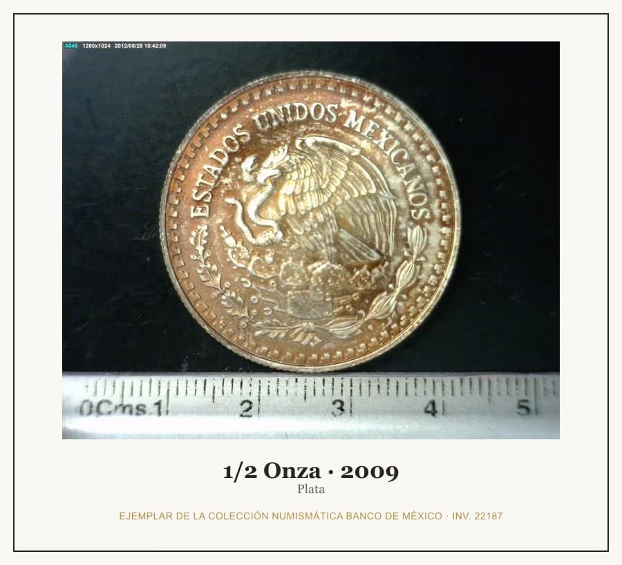 1/2 Onza · 2009 — Ejemplar de la Colección Numismática Banco de México, inv. 22187