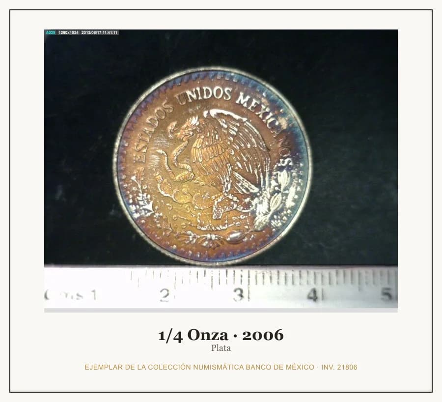 1/4 Onza · 2006 — Ejemplar de la Colección Numismática Banco de México, inv. 21806
