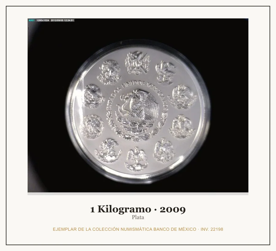 1 Kilogramo · 2009 — Ejemplar de la Colección Numismática Banco de México, inv. 22198
