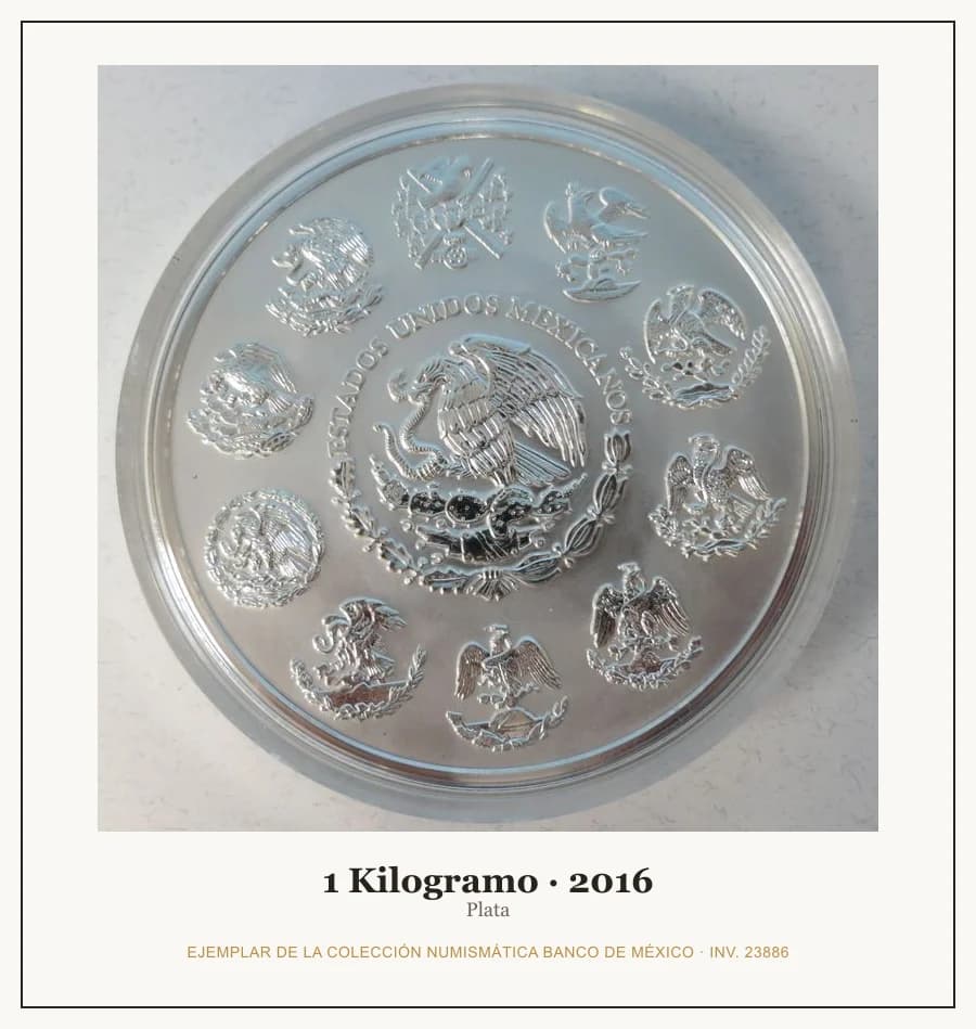 1 Kilogramo · 2016 — Ejemplar de la Colección Numismática Banco de México, inv. 23886
