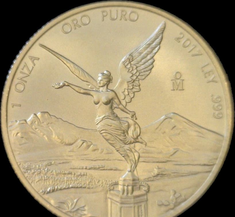 Reverso de moneda Onza Libertad 1 Onza 2017, oro 0.999