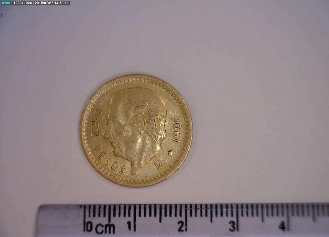 10 Pesos 1906 · Reverso