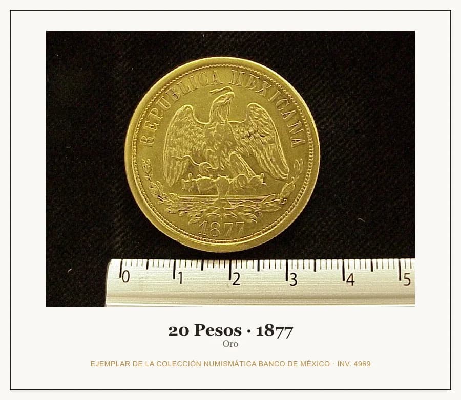 20 Pesos · 1877 — Ejemplar de la Colección Numismática Banco de México, inv. 4969