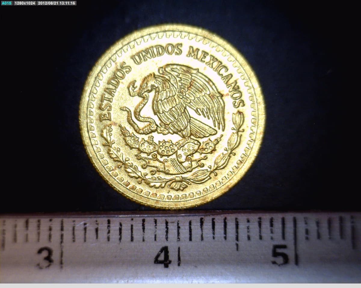 1-10-onza-libertad-oro-2008 - anverso (Banxico)