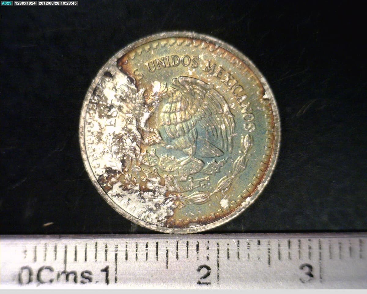 1-10-onza-libertad-plata-2009 - anverso (Banxico)