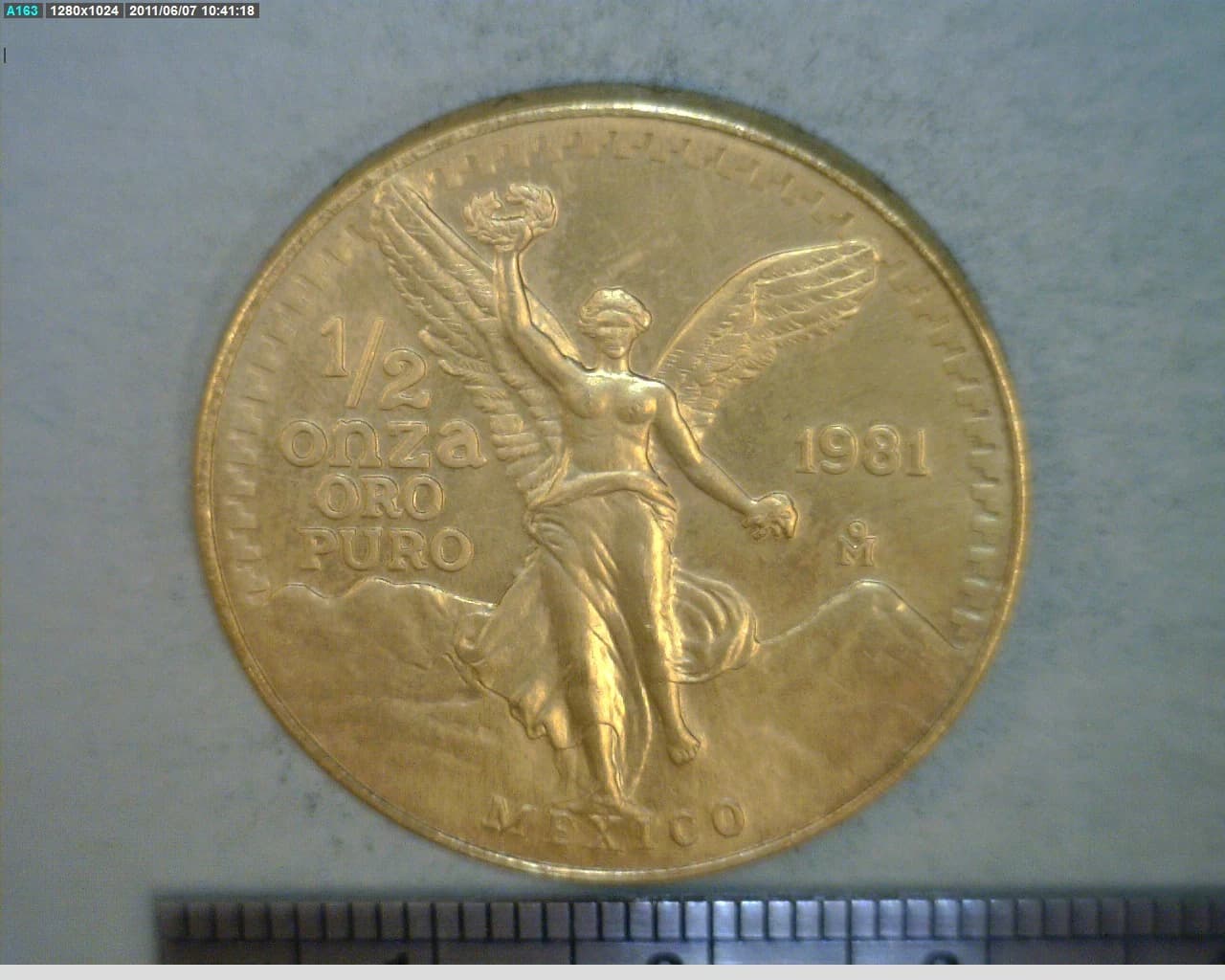 1/2 oz Libertad Oro 1981 · Inventario Banxico 16096 (reverso)