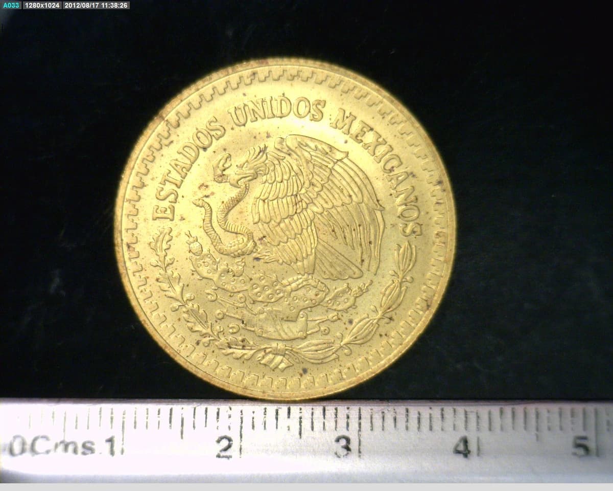 1-2-onza-libertad-oro-2007 - anverso (Banxico)