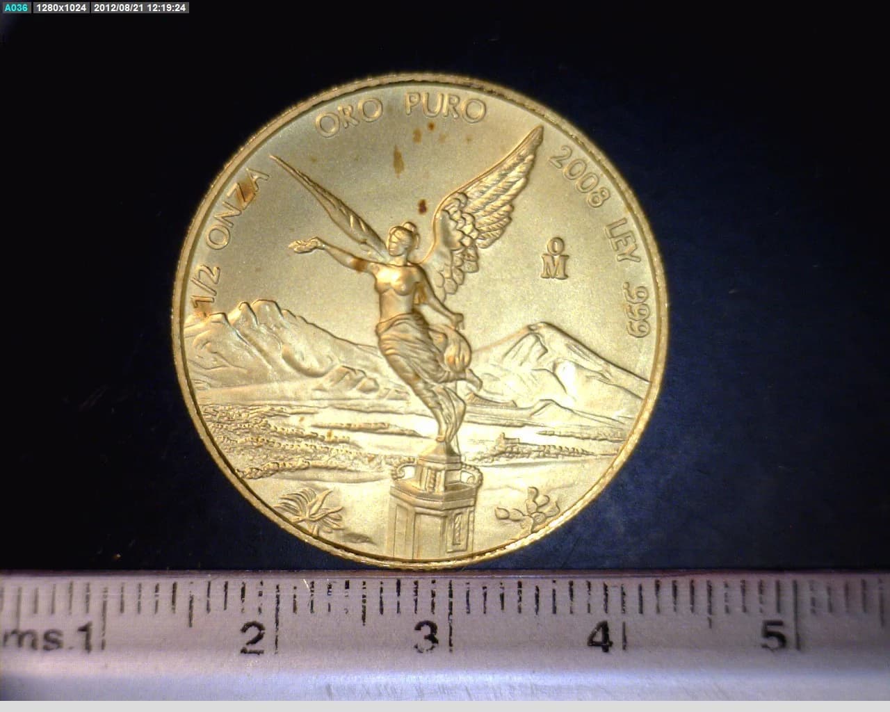 1/2 oz Libertad Oro 2008 · Inventario Banxico 22161 (reverso)