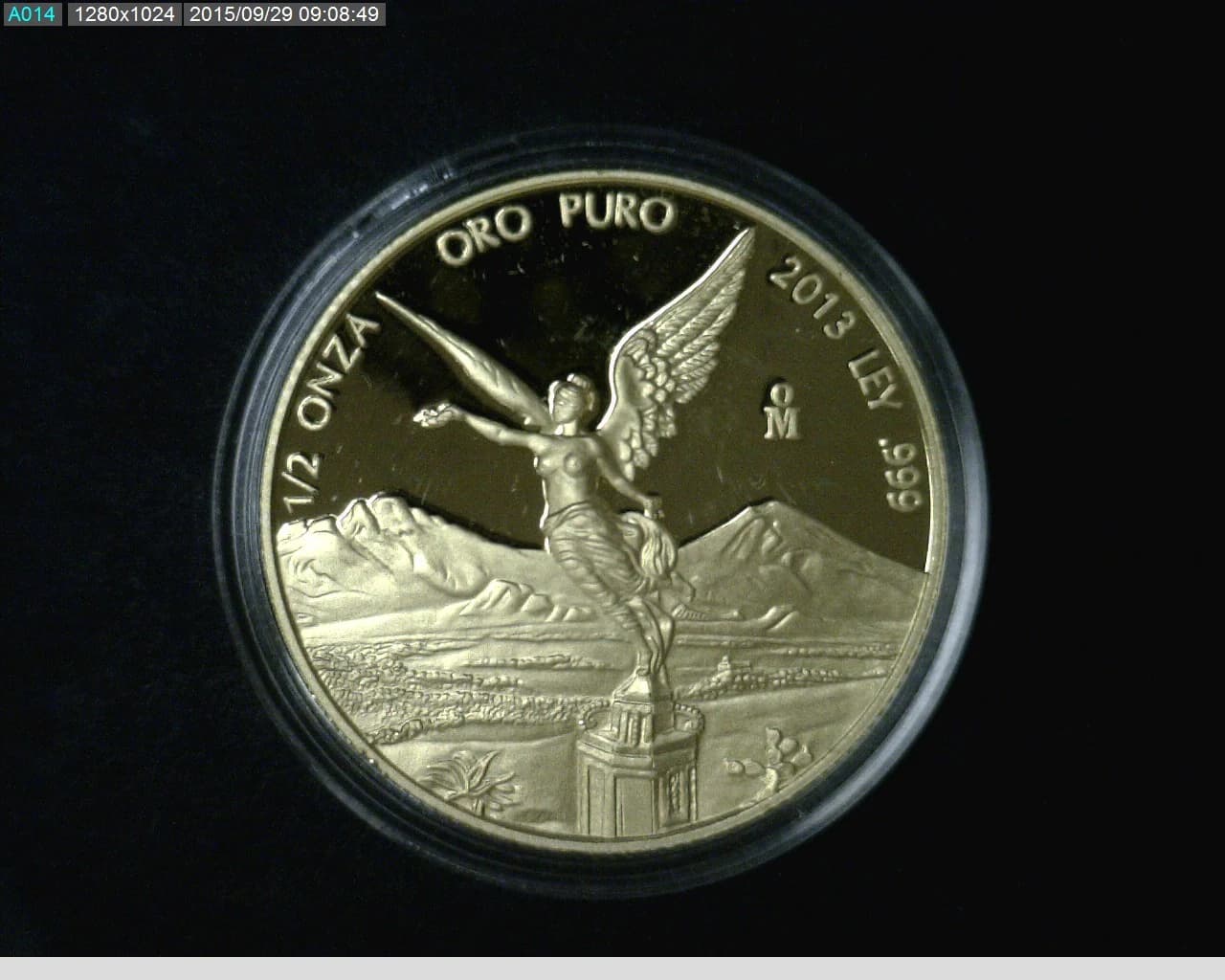 1/2 Onza Libertad Oro 2013 Proof · Reverso