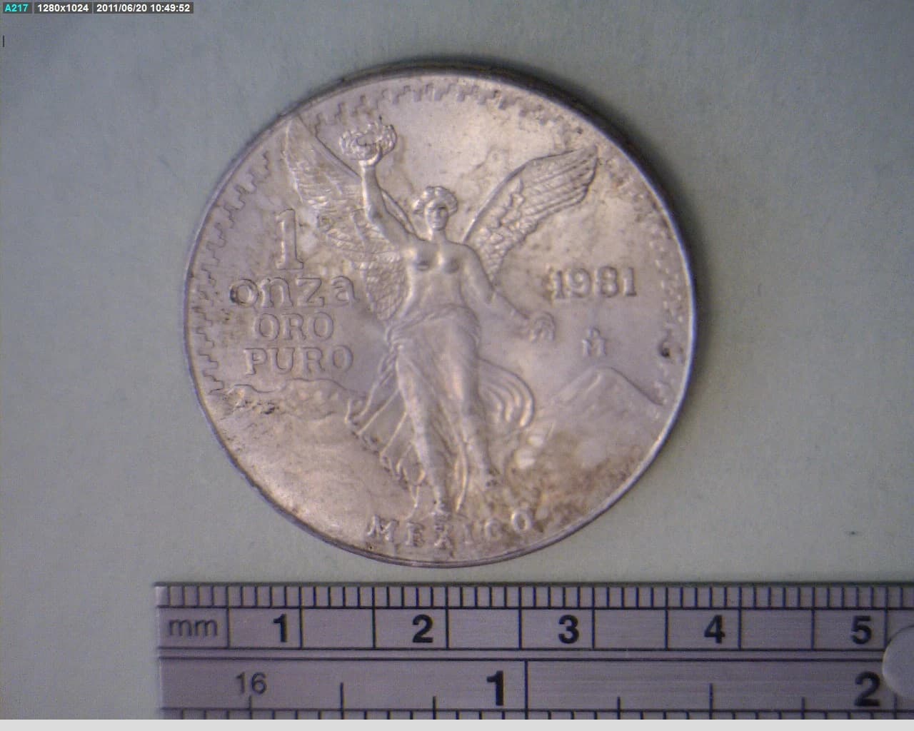 1/2 oz Libertad Plata 1981 · Inventario Banxico 16136 (reverso)