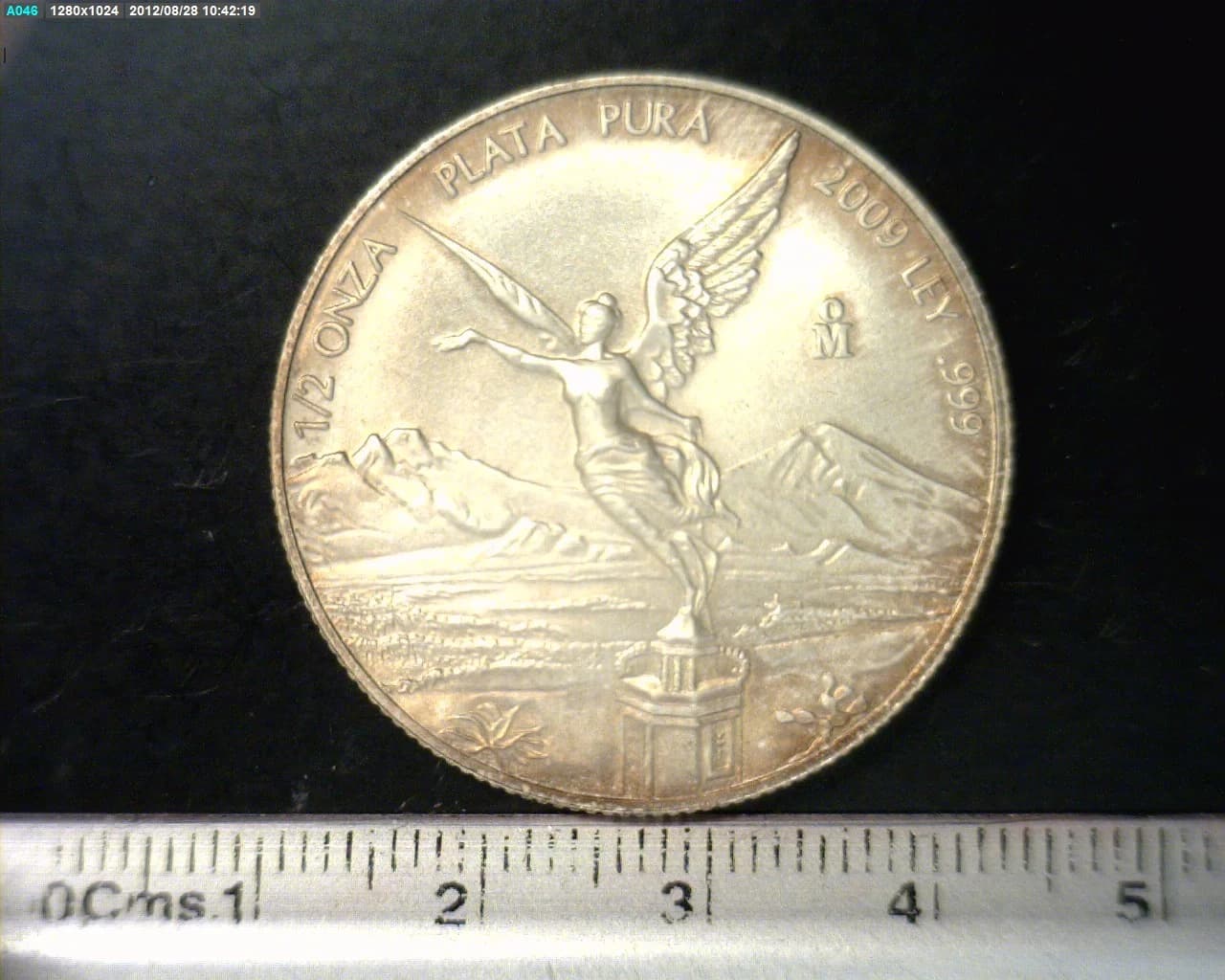 1/2 oz Libertad Plata 2009 · Inventario Banxico 22187 (reverso)