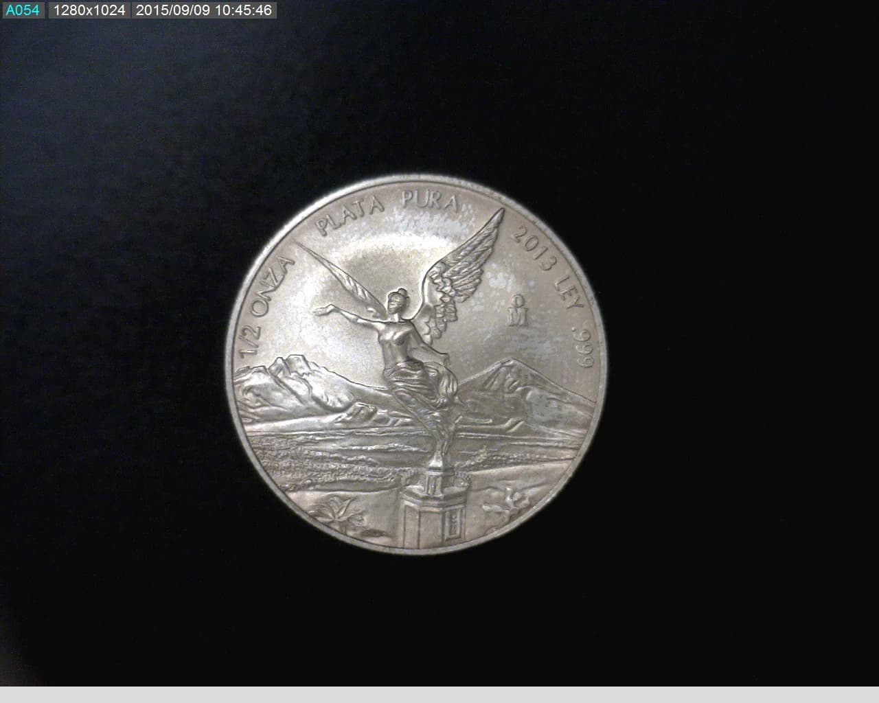 1/2 oz Libertad Plata 2013 · Inventario Banxico 22999 (reverso)