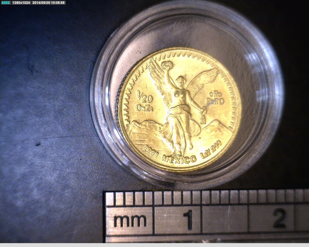 1/20 oz Libertad Oro 1993 · Inventario Banxico 17565 (reverso)