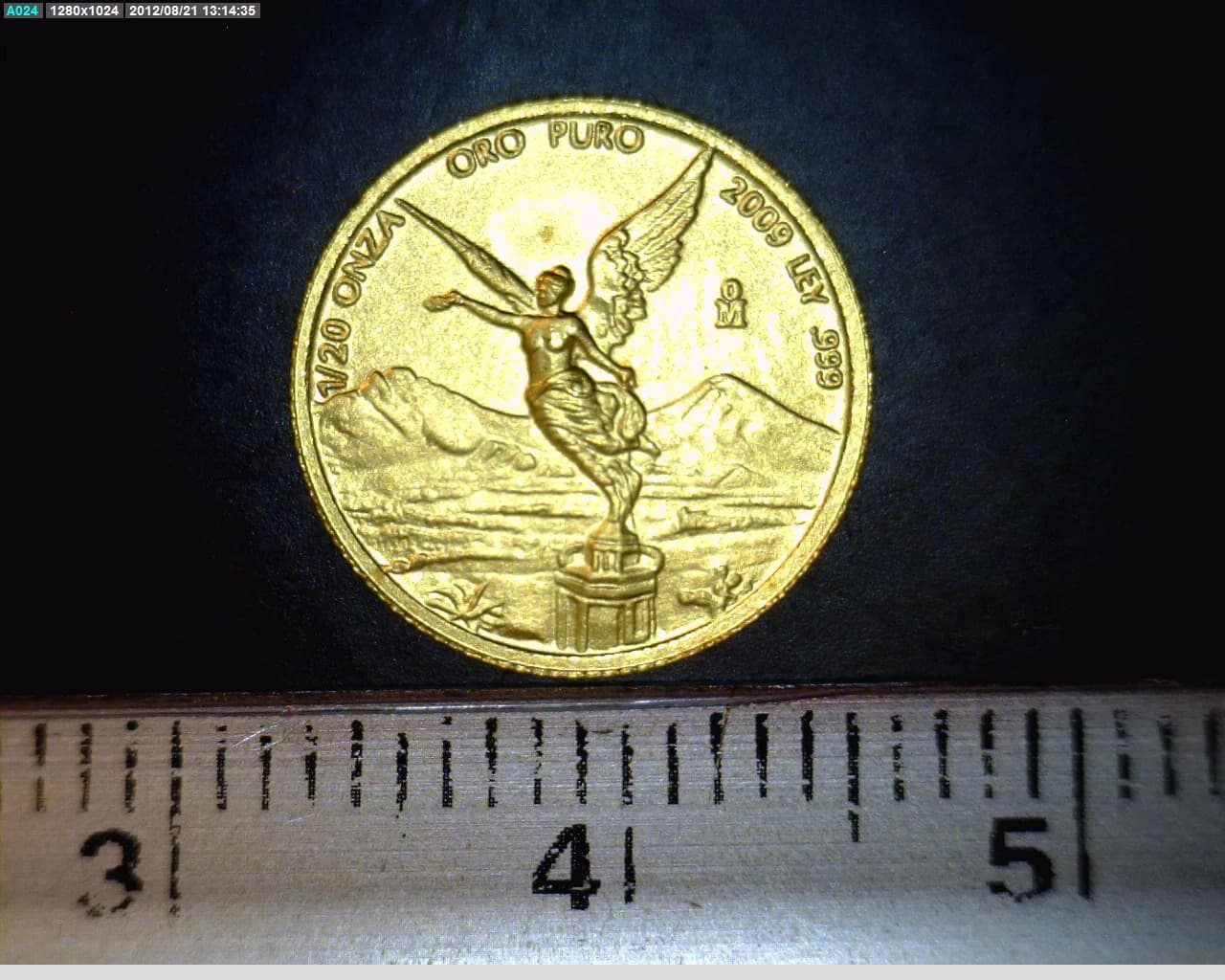 1/20 oz Libertad Oro 2009 · Inventario Banxico 22153 (reverso)