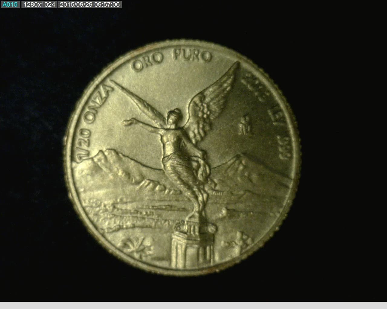 1/20 oz Libertad Oro 2013 · Inventario Banxico 23298 (reverso)