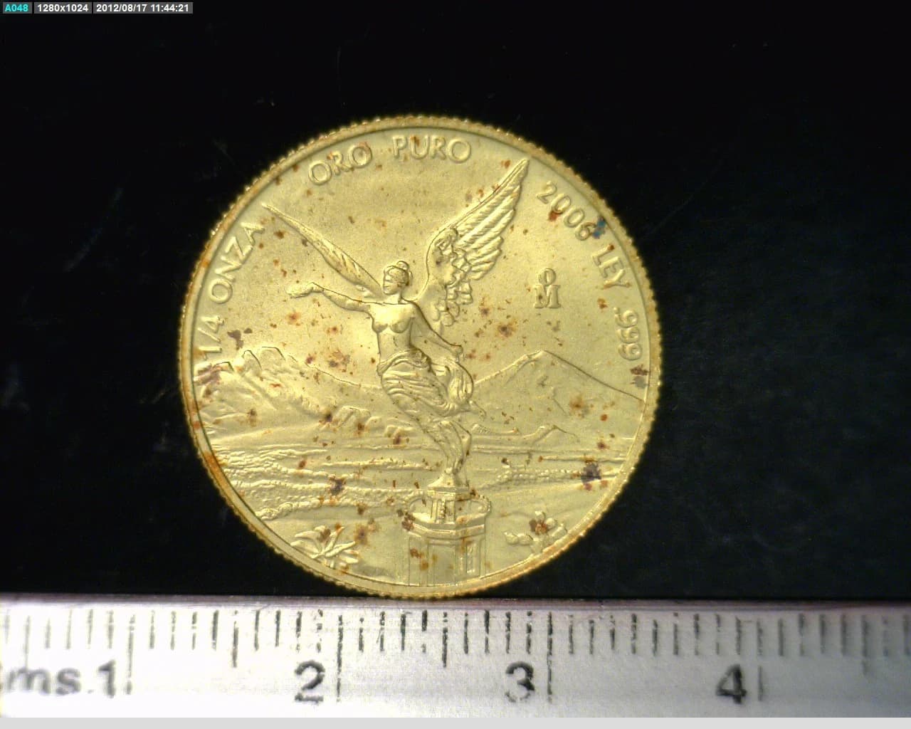 1/4 oz Libertad Oro 2006 · Inventario Banxico 21832 (reverso)