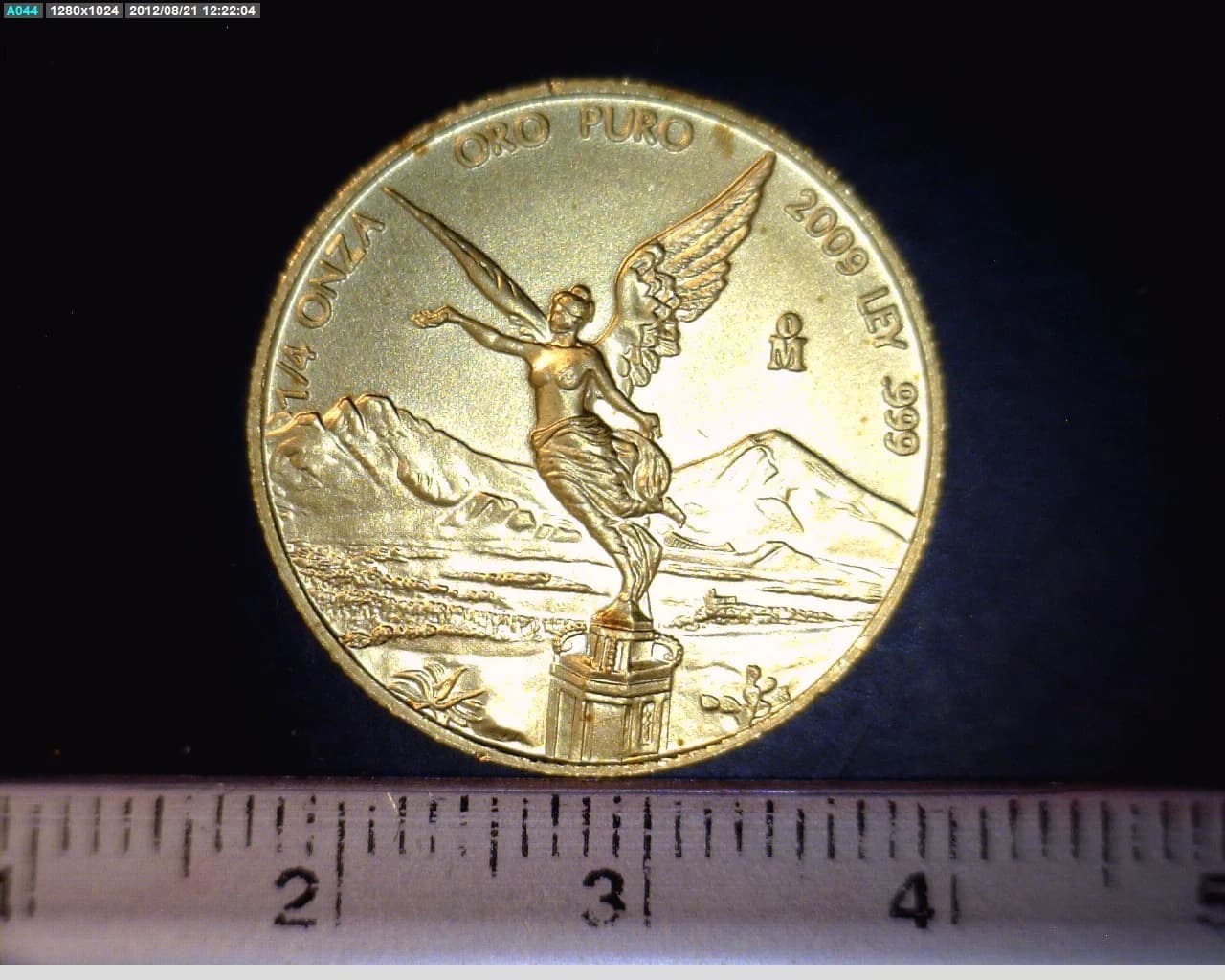1/4 oz Libertad Oro 2009 · Inventario Banxico 22155 (reverso)