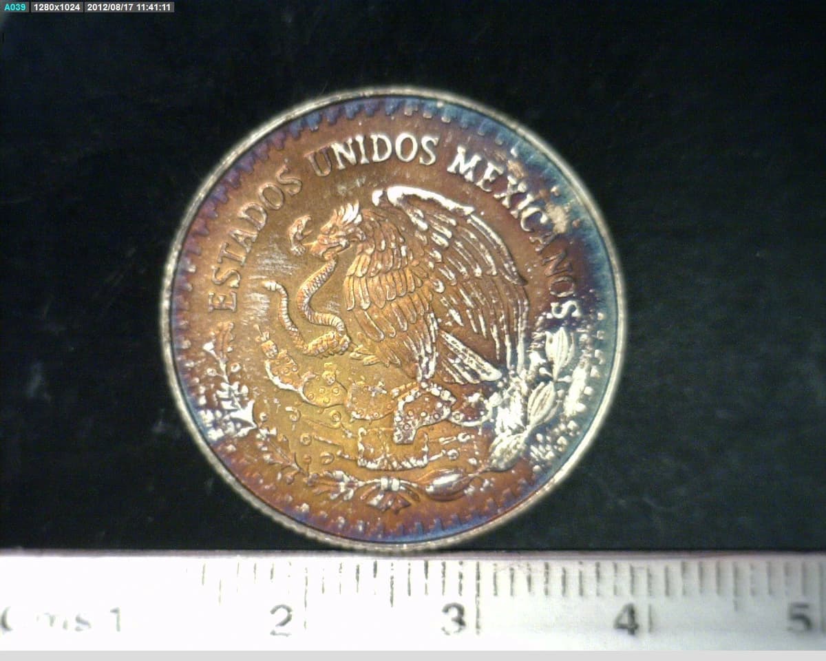 1-4-onza-libertad-plata-2006 - anverso (Banxico)