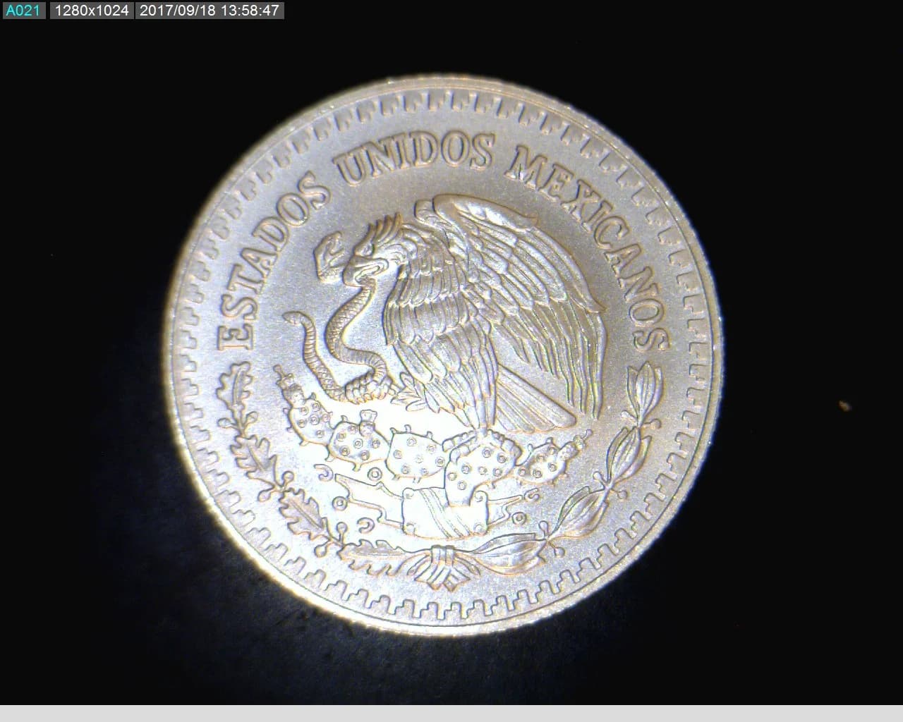 1/4 oz Libertad Plata 2016 · Inventario Banxico 23851 (reverso)