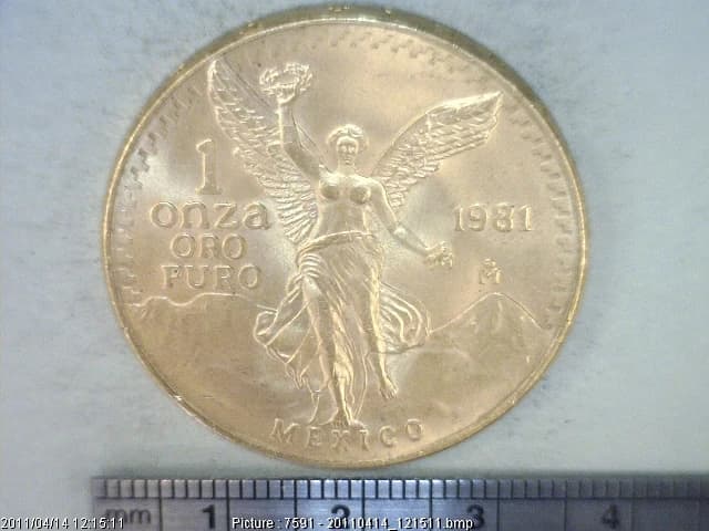 1 oz Libertad Oro 1981 · Inventario Banxico 15863 (reverso)