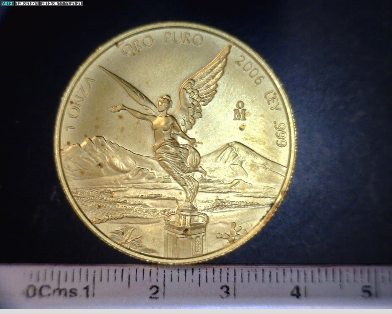 1 onza Libertad Oro 2006 · Reverso