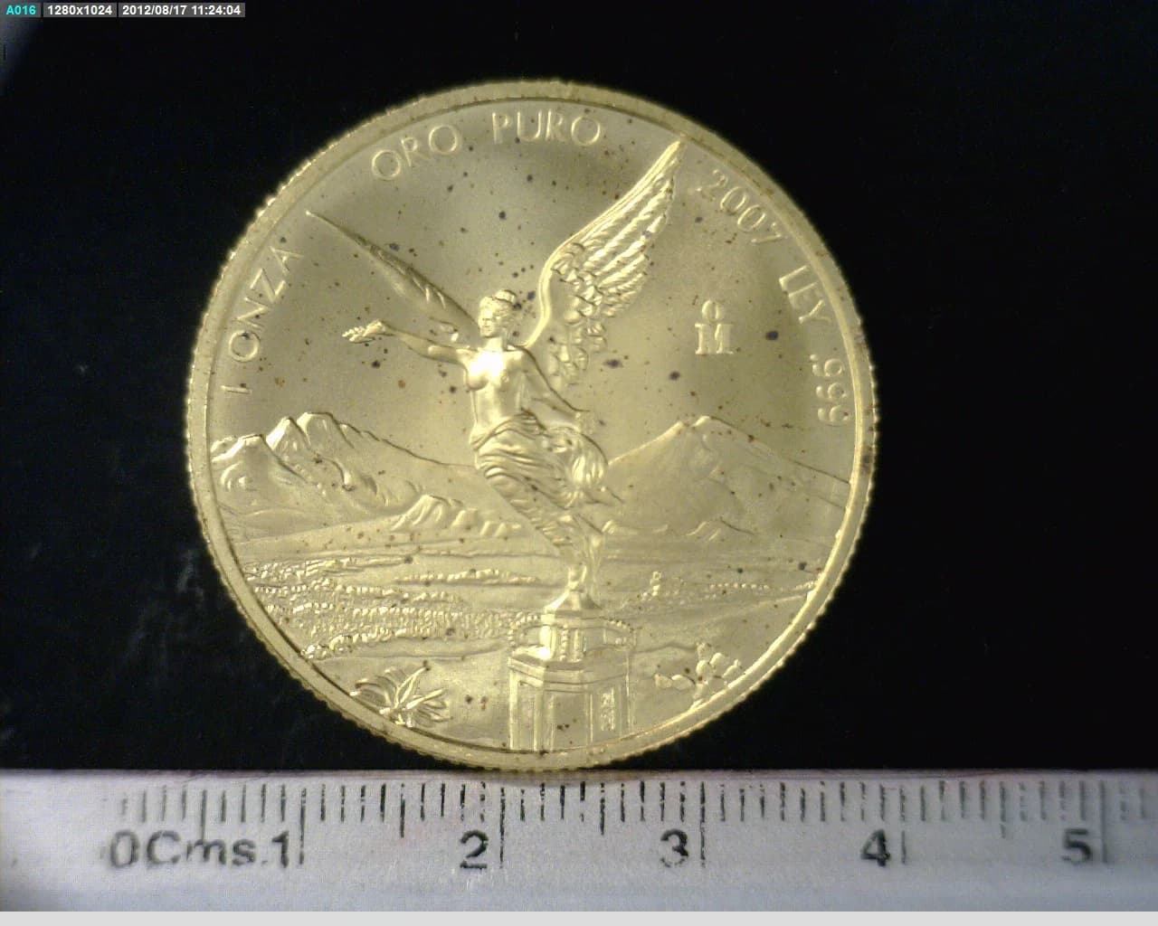 1 onza Libertad Oro 2007 · Reverso