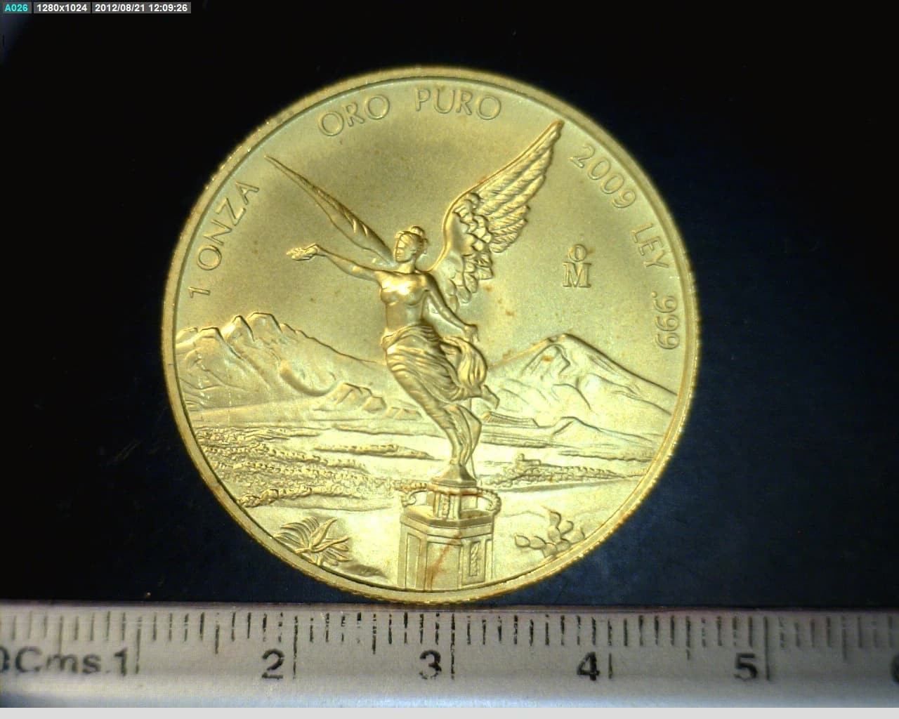1 onza Libertad Oro 2009 · Reverso