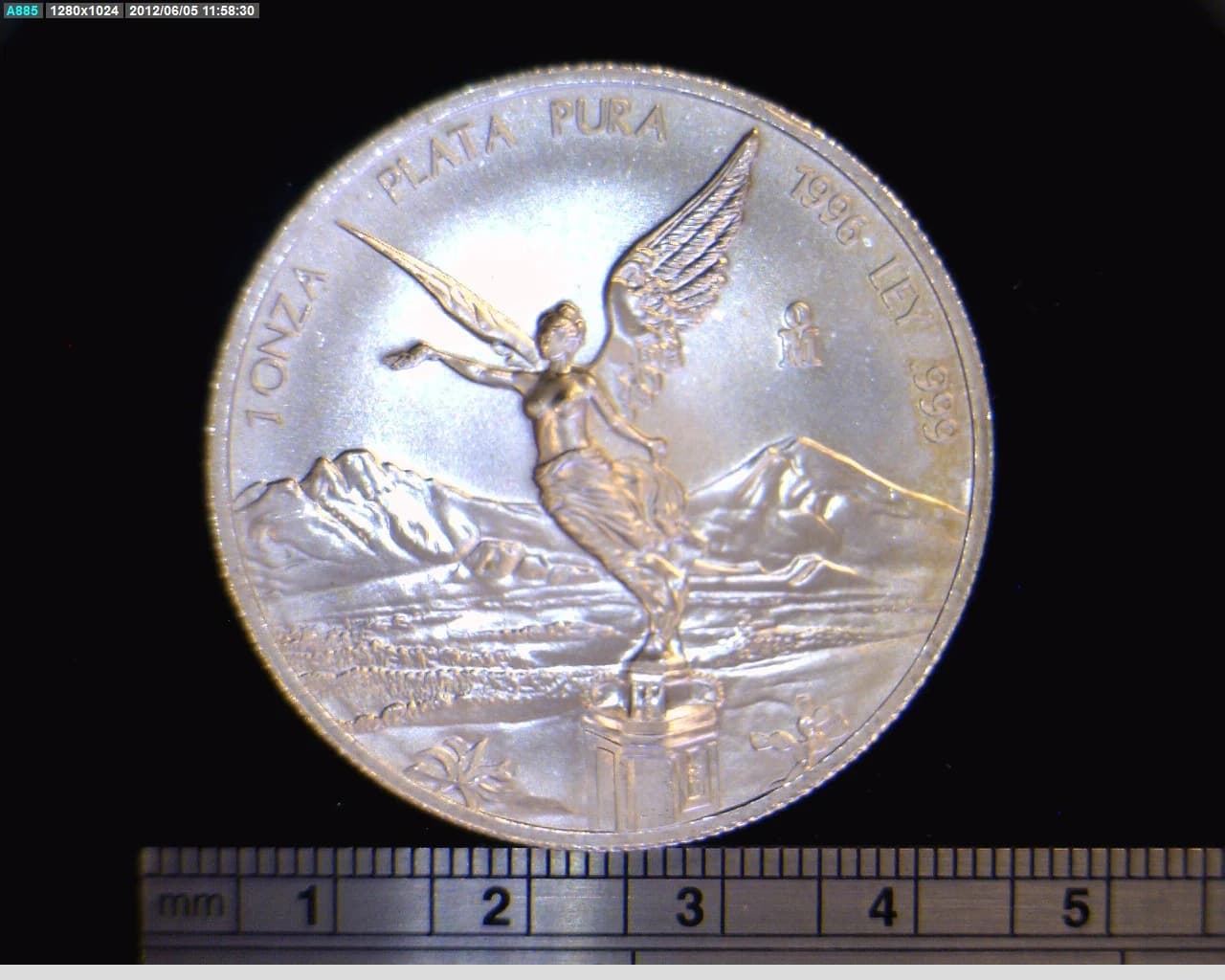 1 oz Libertad Plata 1996 · Inventario Banxico 19206 (reverso)