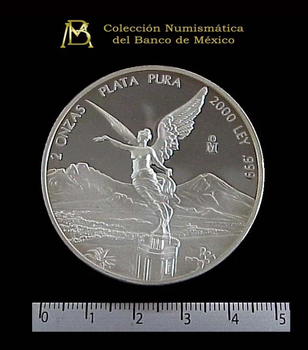 2 oz Libertad Plata 2000 · Inventario Banxico 20875 (reverso)