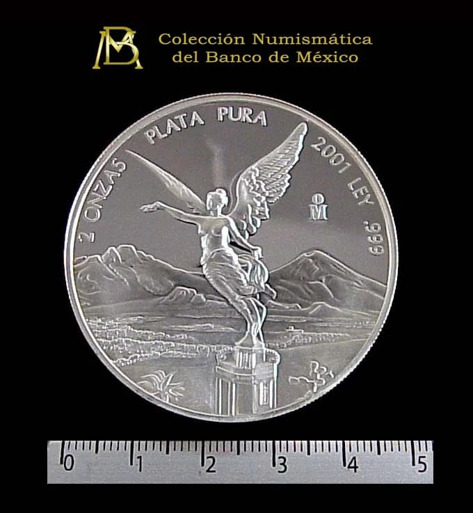 2 oz Libertad Plata 2001 · Inventario Banxico 20885 (reverso)