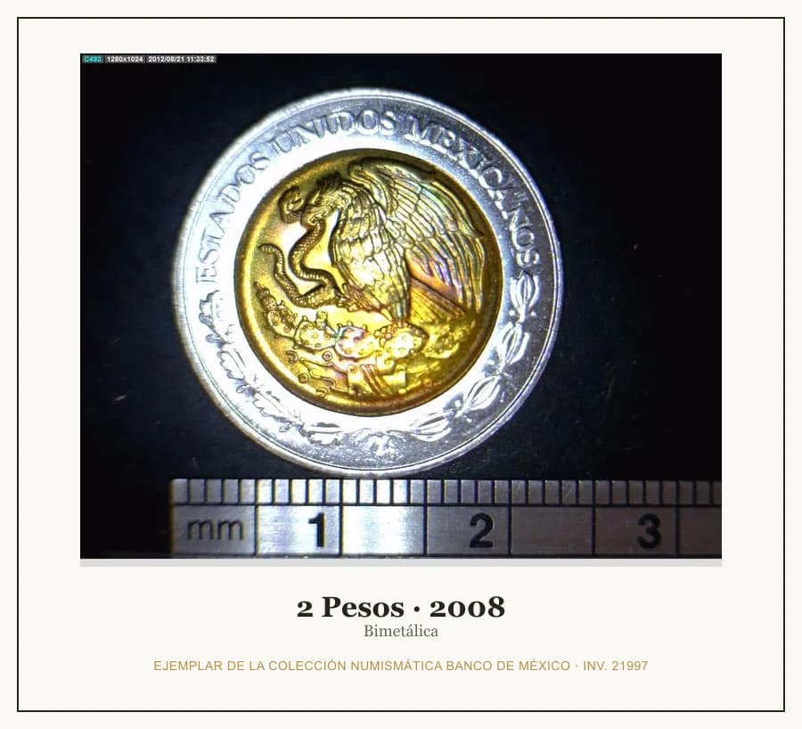 2 Pesos · 2008 — Ejemplar de la Colección Numismática Banco de México, inv. 21997