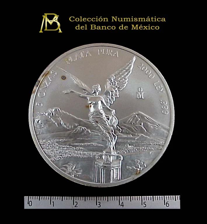 5 oz Libertad Plata 2000 · Inventario Banxico 20850 (reverso)