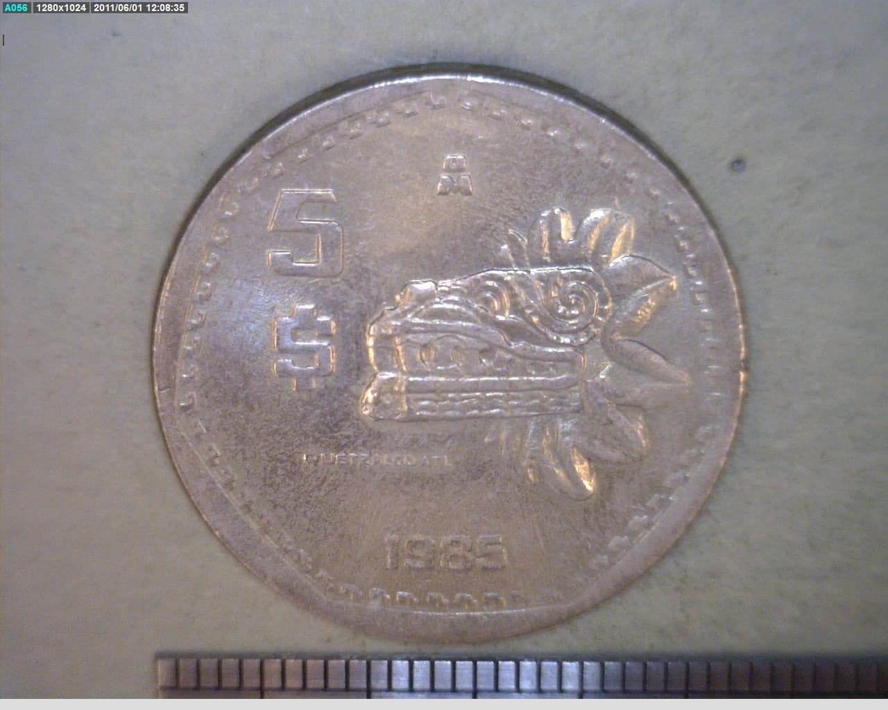 5 Pesos Cuproníquel 1985 (reverso)