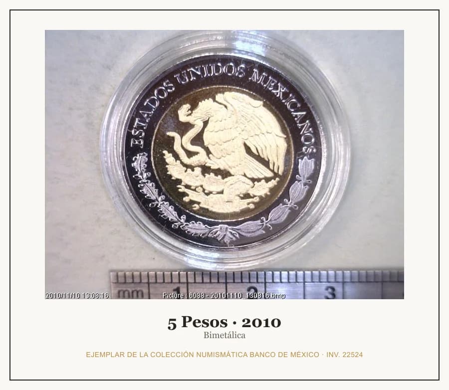 5 Pesos · 2010 — Ejemplar de la Colección Numismática Banco de México, inv. 22524