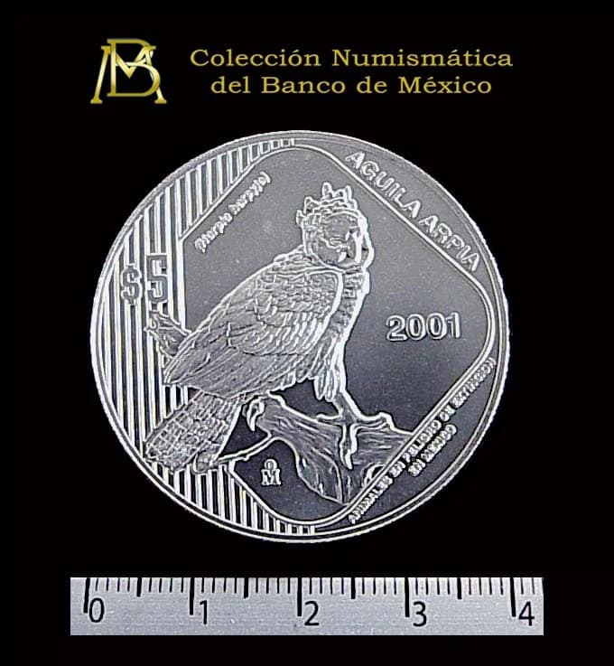 5 Pesos Plata 2001 · Reverso con Águila Arpía (Serie Animales en peligro de extinción)