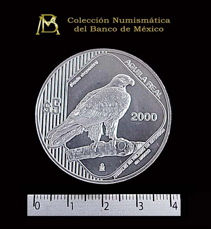 5 Pesos Plata 2000 · Reverso con Águila Real (Serie Animales en peligro de extinción)