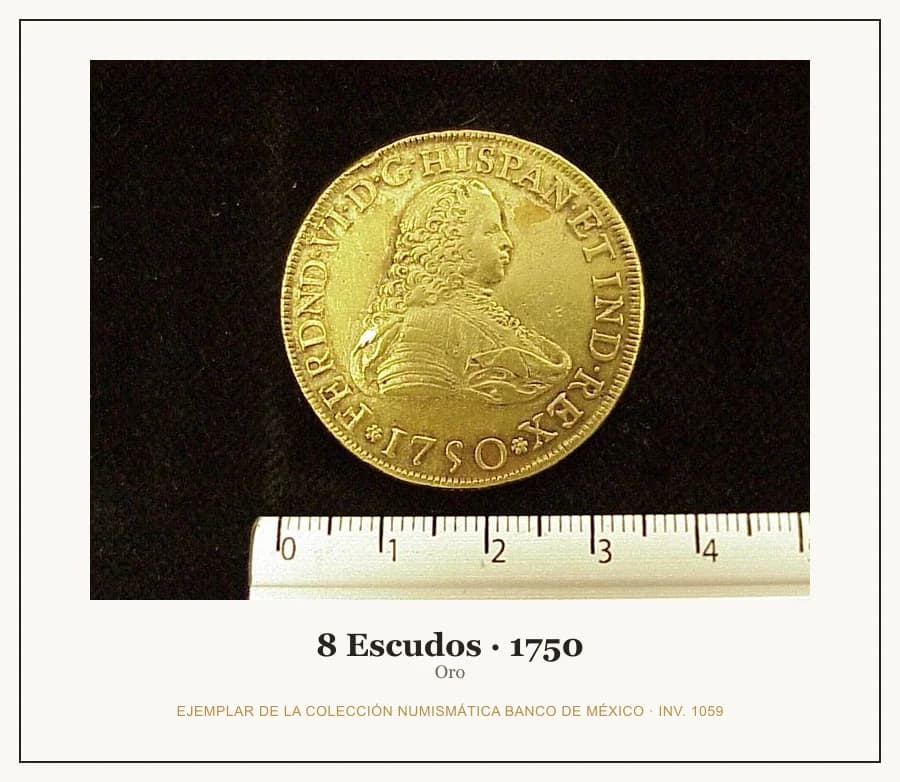 8 Escudos · 1750 — Ejemplar de la Colección Numismática Banco de México, inv. 1059