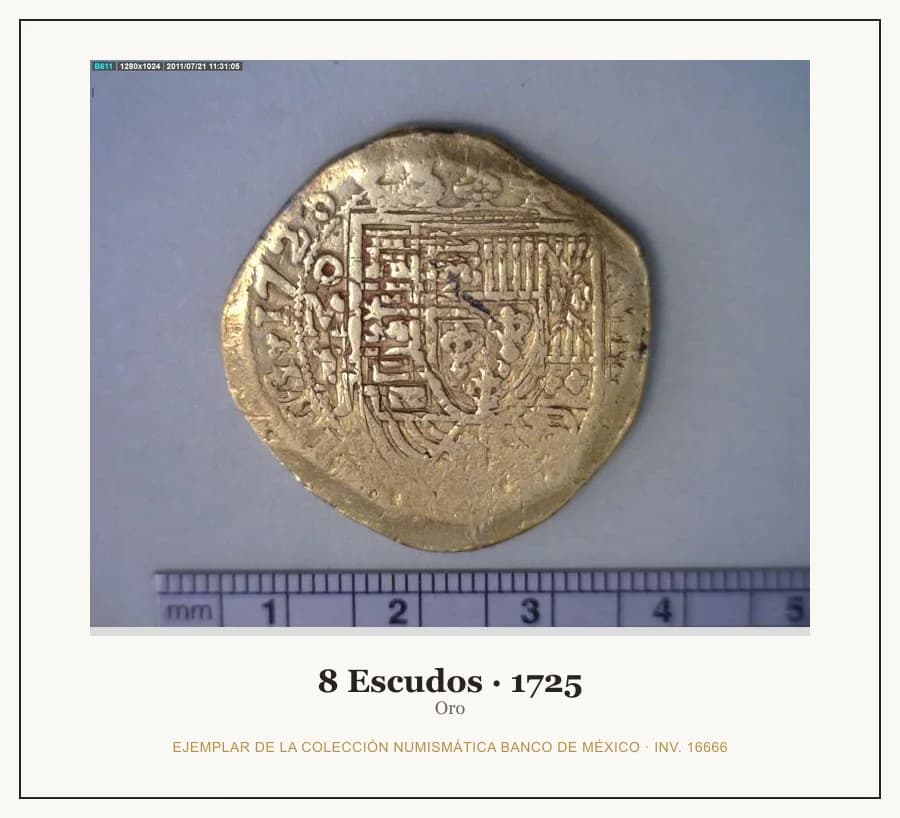 8 Escudos · 1725 — Ejemplar de la Colección Numismática Banco de México, inv. 16666