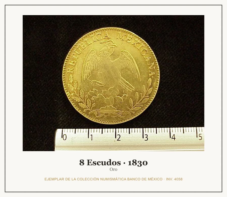 8 Escudos · 1830 — Ejemplar de la Colección Numismática Banco de México, inv. 4058