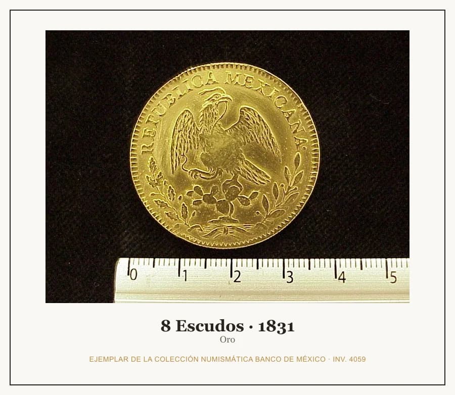 8 Escudos · 1831 — Ejemplar de la Colección Numismática Banco de México, inv. 4059