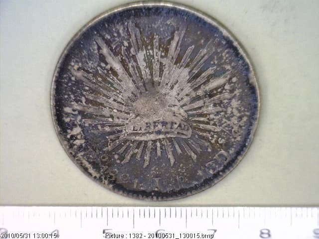 8 Plata 1891 . Inventario Banxico 7034 (reverso)